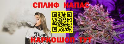 дмт Краснознаменск