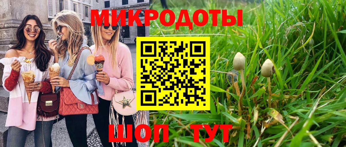 как найти   Вход с VPN  Каменка  Псилоцибиновые грибы ЛСД 